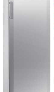 Lemari Es (Kitchen Freezer) 1 Pintu : RS-30WC4HFY